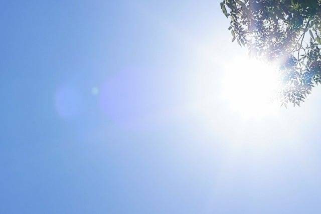 婚活では自分の感覚を信じない(世田谷・再婚)