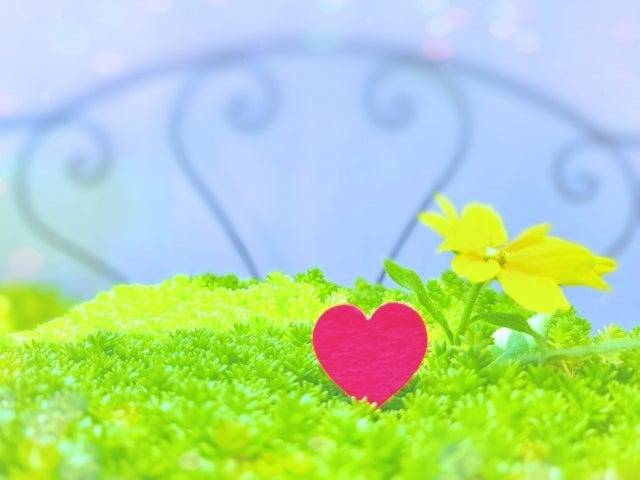 《40代50代再婚活》幸せな再婚を目指すなら、結婚相談所がおすすめな理由(世田谷・再婚)
